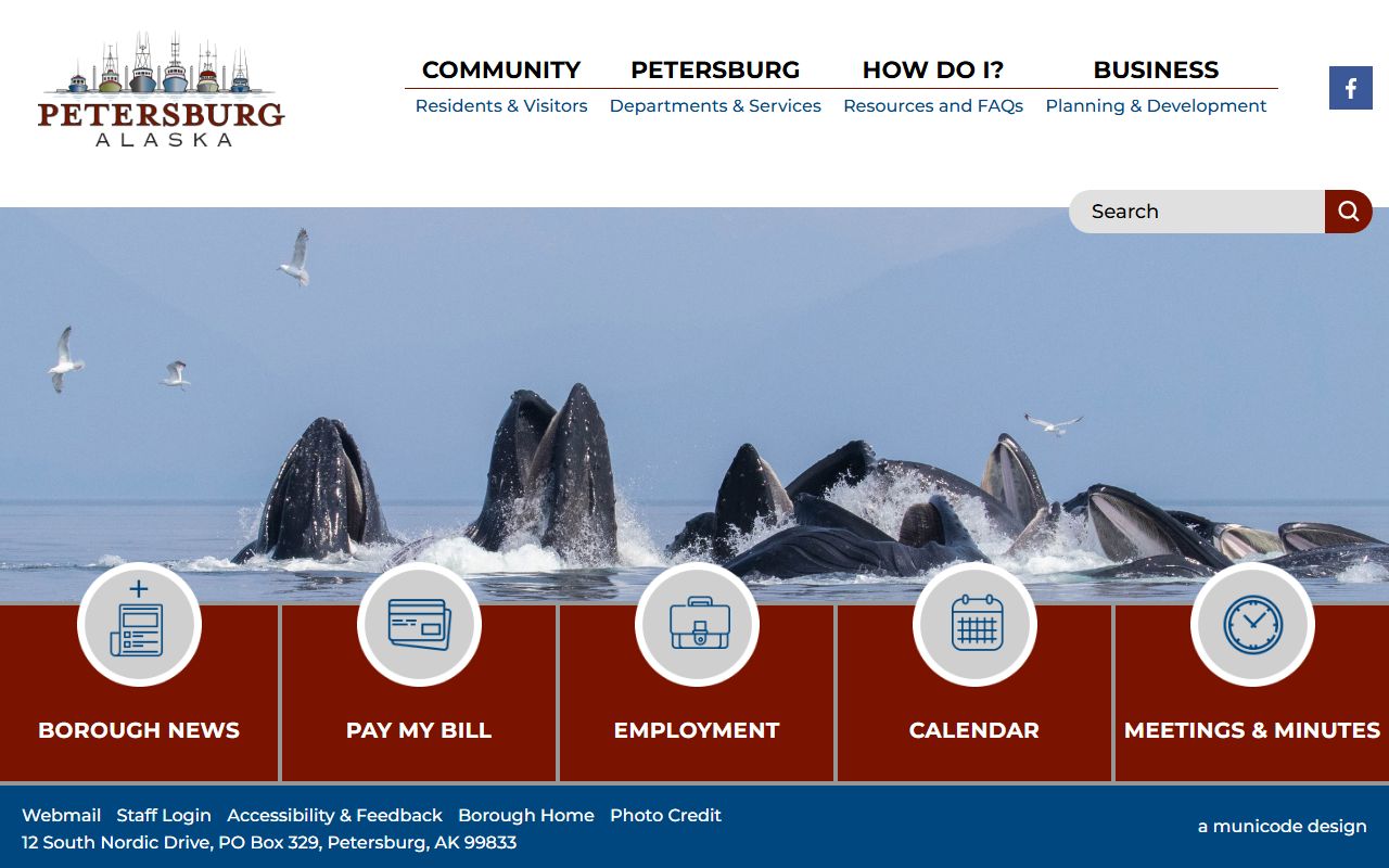 petersburg borough 72 hour booking records portal